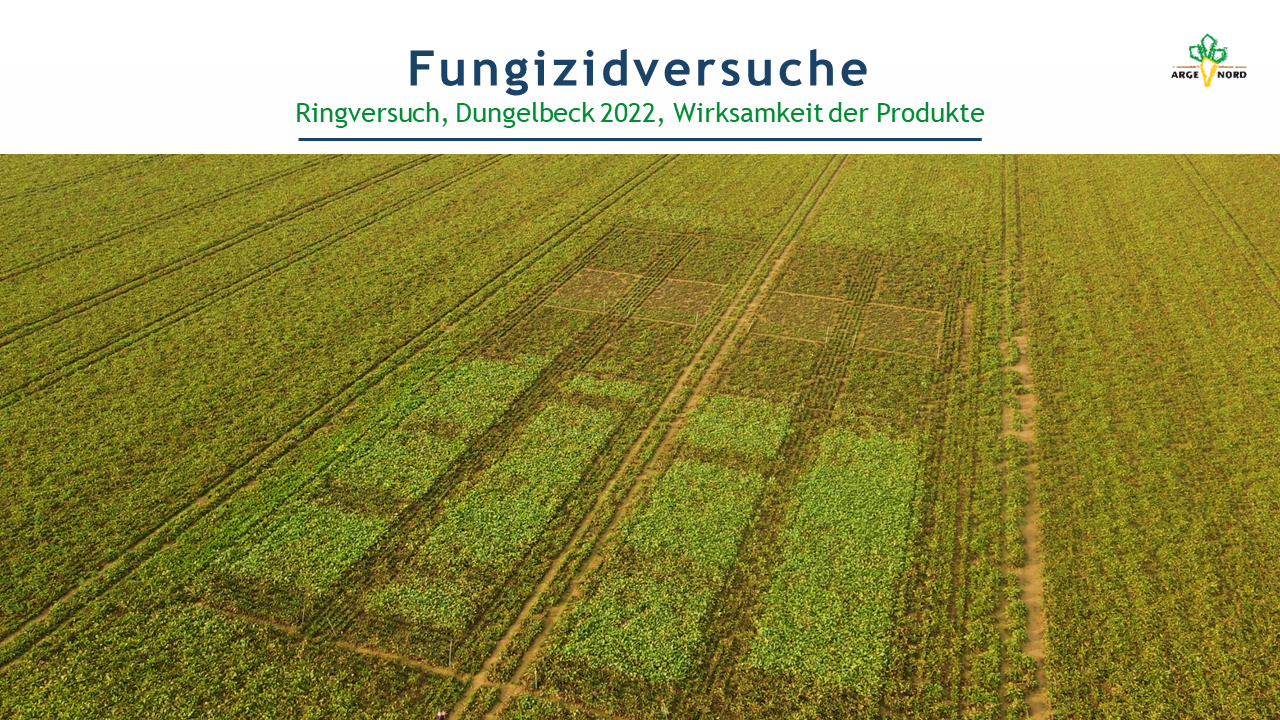 Ringversuch Fungizid (Dungelbeck) 2022