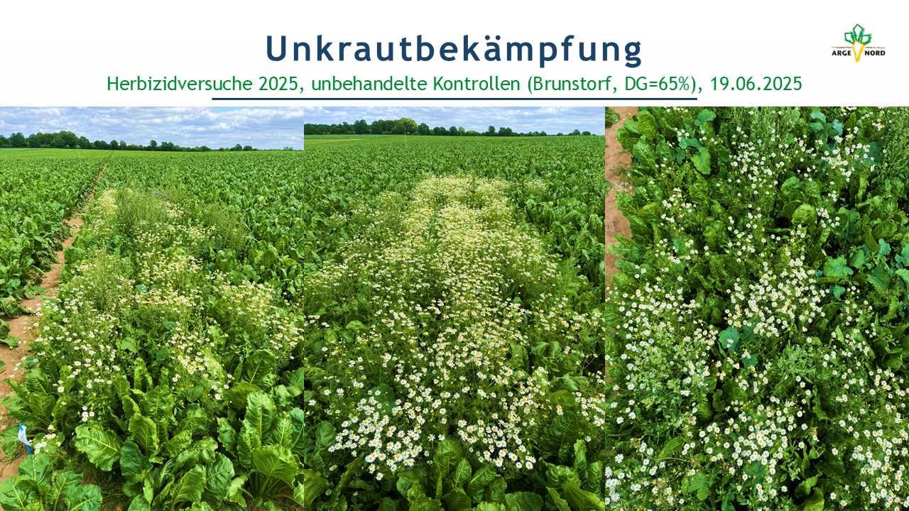 Ringversuche (RV) – Herbizide (Brunstorf) 2025